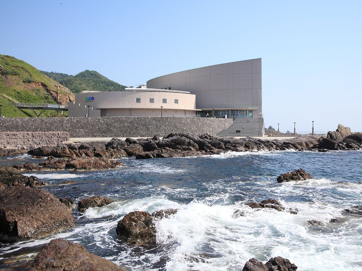 🐠 오가 수족관 가오 (男鹿水族館GAO) 이미지 6